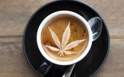 CBD and Caffeine: An Unlikely Pairing